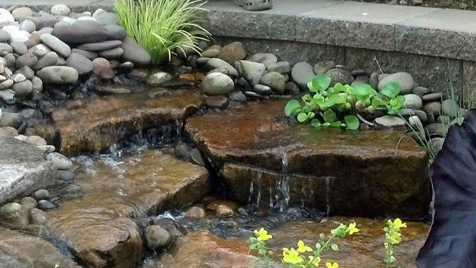 Backyard Pond Information for the Landowner